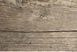 Photo Textures of Wood